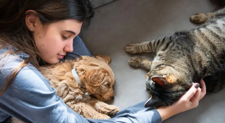¿Dormir con tu mascota es bueno o malo? Beneficios y riesgos que deberías conocer, según expertos