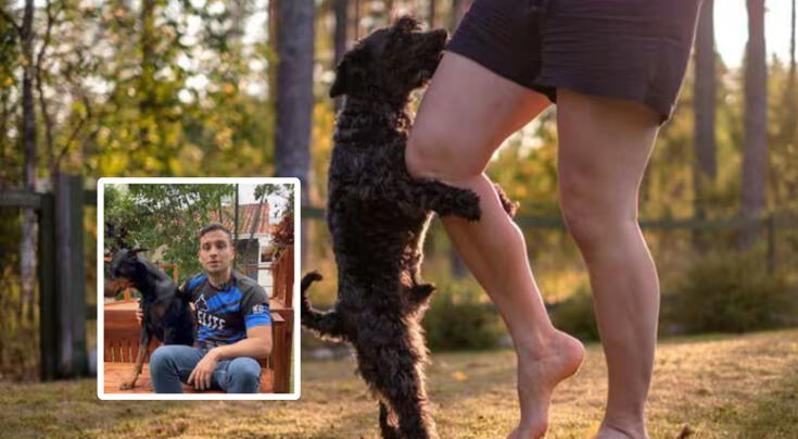 ¿Qué significa que tu perro te monte de manera constante?