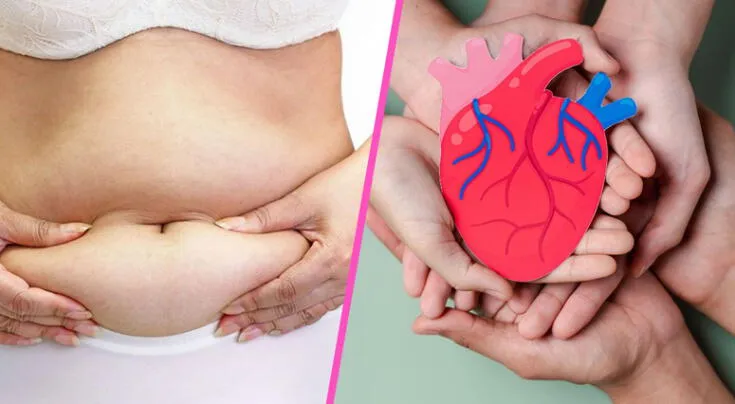 Este es el fruto seco ideal para reducir la grasa visceral y cuidar el corazón, según especialistas