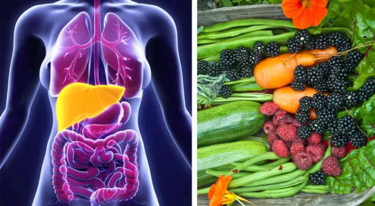 Expertos revelan la dieta para evitar hígado graso. Expertos revelan la dieta para evitar hígado graso.