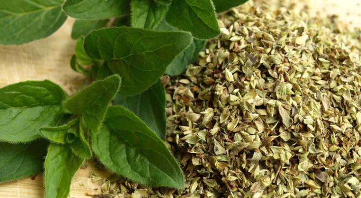 Los beneficios más sorprendentes del orégano para la salud. Los beneficios más sorprendentes del orégano para la salud.