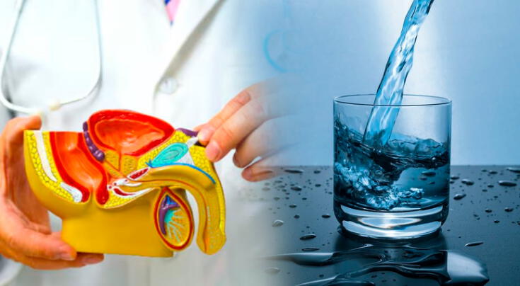 La cantidad de agua que debes tomar al día para cuidar la próstata. La cantidad de agua que debes tomar al día para cuidar la próstata.