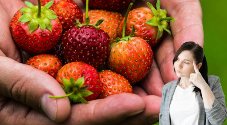 Expertos revelan la manera correcta de lavar las fresas.