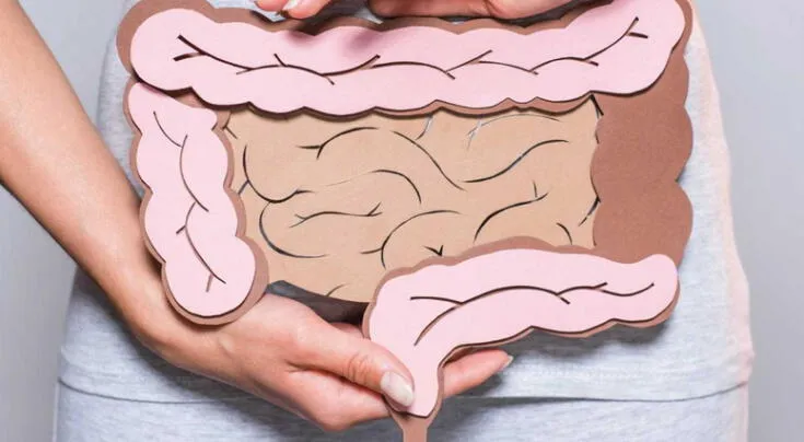 Estudio científico sugiere que la anemia por deficiencia de hierro puede alterar el equilibrio intestinal. Estudio científico sugiere que la anemia por deficiencia de hierro puede alterar el equilibrio intestinal.