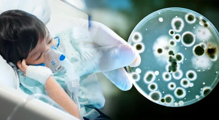 Brote de bacteria que puede ser mortal para los niños.