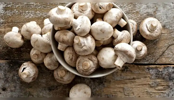 Comer champiñones mejora la digestión, fortalece el sistema inmune y cuida tu corazón.