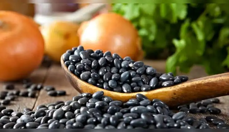Conoce los beneficios de los frejoles negros y cómo prepararlos. Conoce los beneficios de los frejoles negros y cómo prepararlos.
