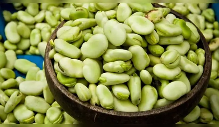 Descubre las propiedades de las habas Descubre las propiedades de las habas