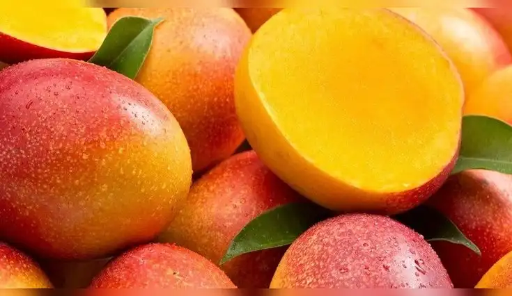 El mango es mucho más que una fruta tropical, puede ayudarte con tu salud. El mango es mucho más que una fruta tropical, puede ayudarte con tu salud.