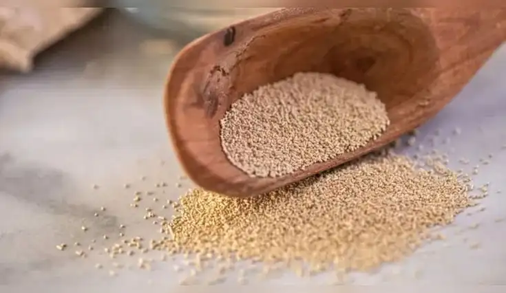 La levadura de cerveza ayuda a regular el azúcar, mejora la piel y apoya el sistema inmunológico. La levadura de cerveza ayuda a regular el azúcar, mejora la piel y apoya el sistema inmunológico.