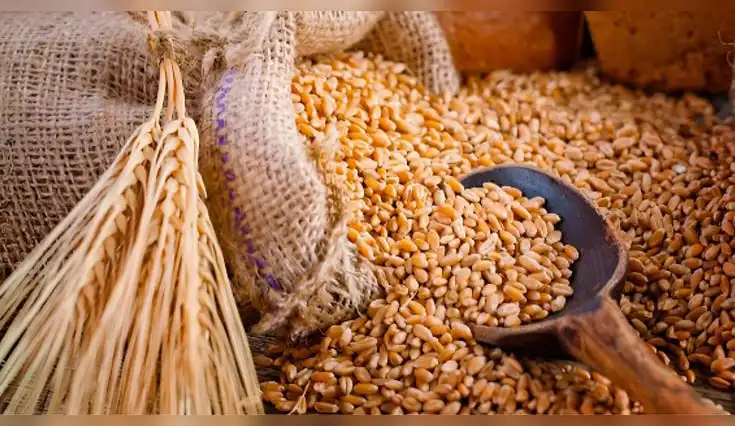 La cebada es clave en la dieta de las poblaciones más longevas del mundo.