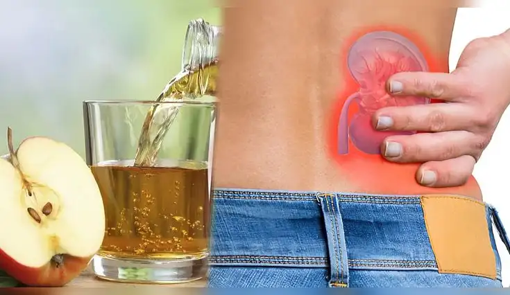 Descubre qué bebidas naturales ayudan a cuidar y proteger la salud de tus riñones